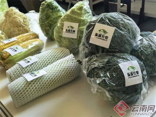 云品入 滬 做深做透土特產(chǎn)大文章