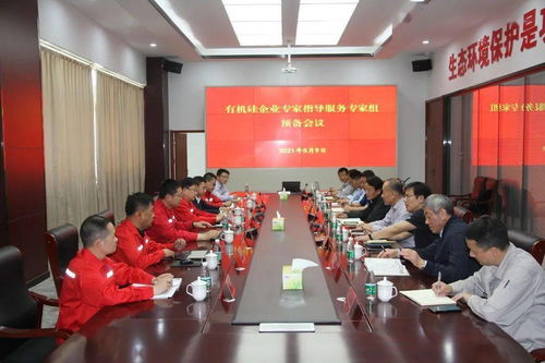 3個專家組奔赴一線,開啟有機硅 多晶硅企業專家指導服務