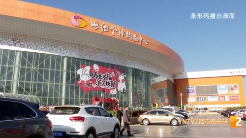 95 以上的商品可用購物卡結賬 昆明兩家家樂福恢復營業