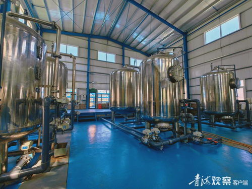 青海天健硅業的綠色發展啟示