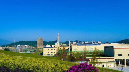 四川永祥股份與您相約2023 smm第十二屆硅業(yè)峰會(huì)