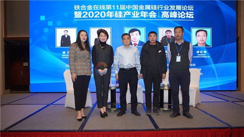 議題演講 鐵合金在線第11屆中國(guó)金屬硅行業(yè)發(fā)展論壇暨2020年硅產(chǎn)業(yè)年會(huì)