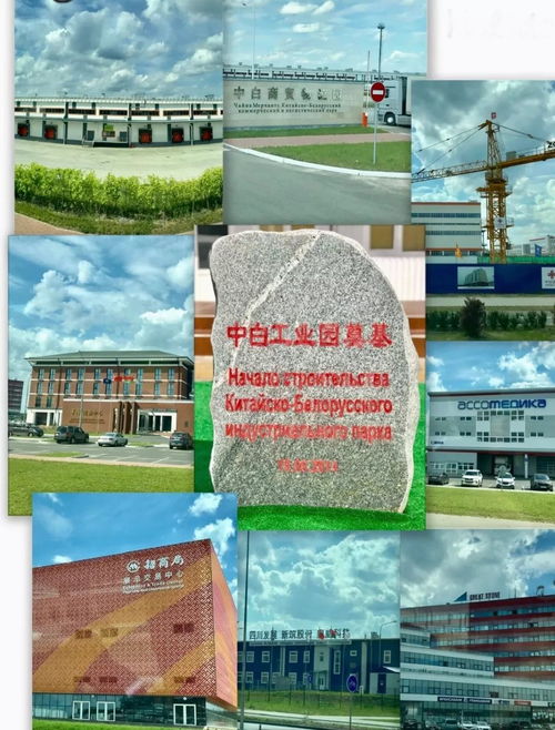 動(dòng)態(tài) 加強(qiáng)國(guó)際交流 共促行業(yè)發(fā)展 四 借力共建 一帶一路 共同推動(dòng)氟硅行業(yè)合作走深走實(shí) 行穩(wěn)致遠(yuǎn)